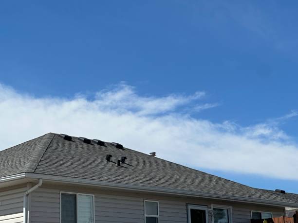 4 Ply Roofing in East Bethel, MN